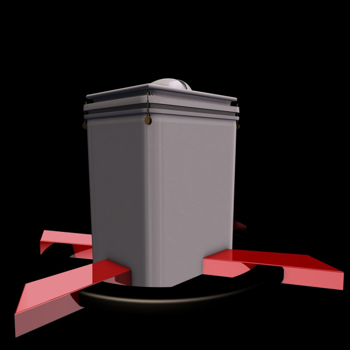 election voting ballot